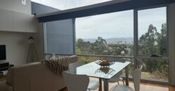 6/86 Upper Fitzroy Crescent, South Hobart TAS 7004