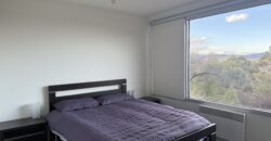 3/86 Upper Fitzroy Crescent, South Hobart TAS 7004
