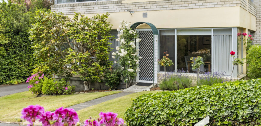 1/8 Melrose Court, SANDY BAY TAS 7005