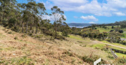 12 Hakea Dr, Tolmans Hill TAS 7007