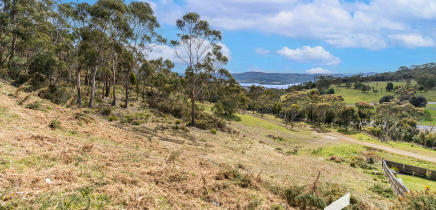 12 Hakea Dr, Tolmans Hill TAS 7007