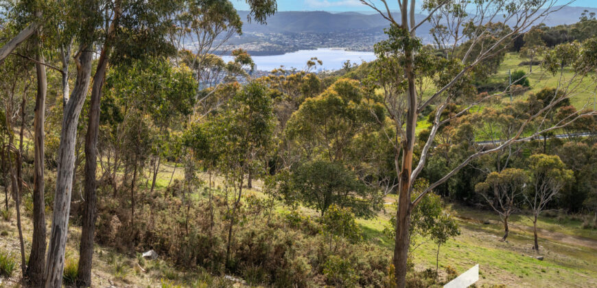 12 Hakea Dr, Tolmans Hill TAS 7007