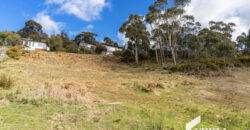 12 Hakea Dr, Tolmans Hill TAS 7007