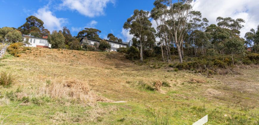12 Hakea Dr, Tolmans Hill TAS 7007