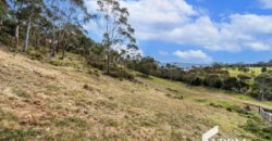 12 Hakea Dr, Tolmans Hill TAS 7007
