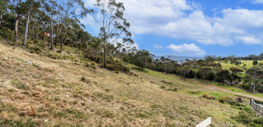 12 Hakea Dr, Tolmans Hill TAS 7007