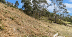 12 Hakea Dr, Tolmans Hill TAS 7007