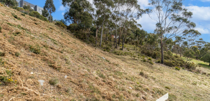 12 Hakea Dr, Tolmans Hill TAS 7007