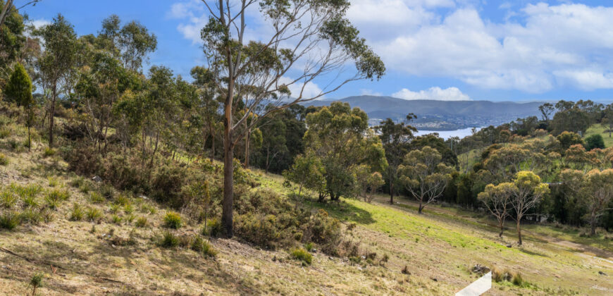 12 Hakea Dr, Tolmans Hill TAS 7007