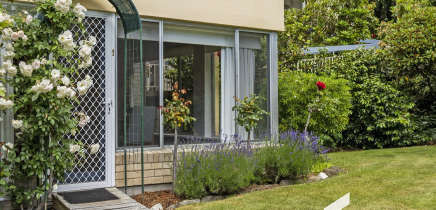 1/8 Melrose Court, SANDY BAY TAS 7005