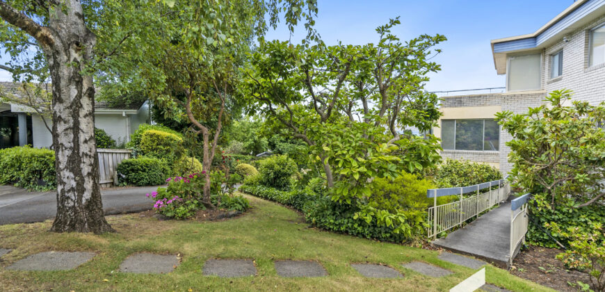 1/8 Melrose Court, SANDY BAY TAS 7005