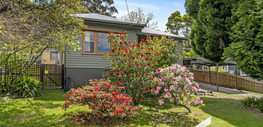 613 Huon Rd, South Hobart TAS 7004