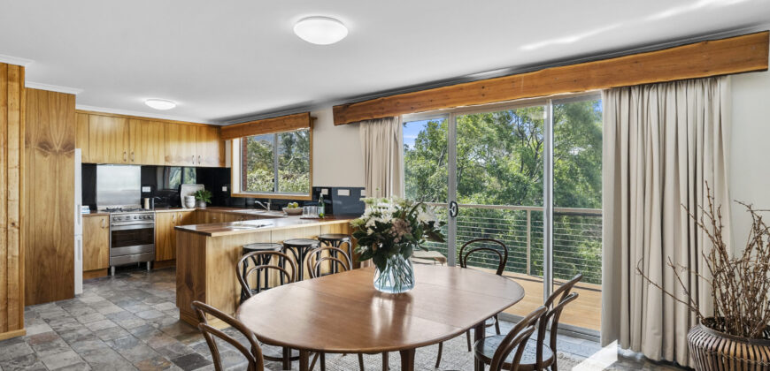 503 Huon Rd, South Hobart TAS 7004