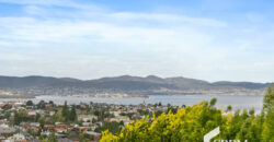 389 Huon Road, South Hobart, TAS 7004