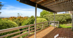 389 Huon Road, South Hobart, TAS 7004