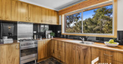503 Huon Rd, South Hobart TAS 7004 503 Huon Rd, South Hobart TAS 7004