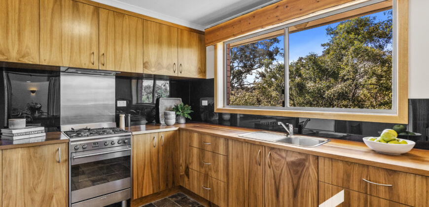 503 Huon Rd, South Hobart TAS 7004