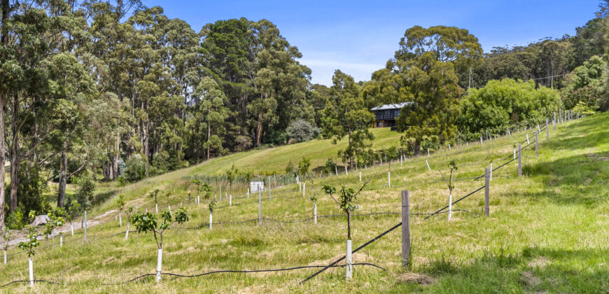 Channel Highway, Woodbridge TAS 7162 – Please contact agent for address