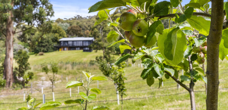 Channel Highway, Woodbridge TAS 7162 – Please contact agent for address