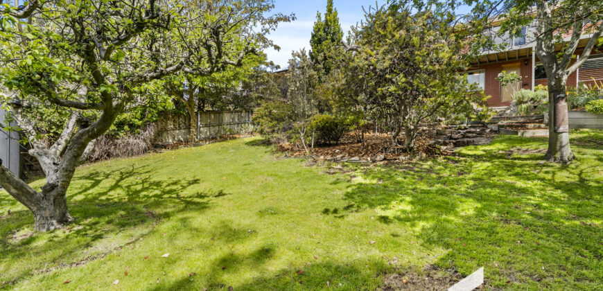 503 Huon Rd, South Hobart TAS 7004
