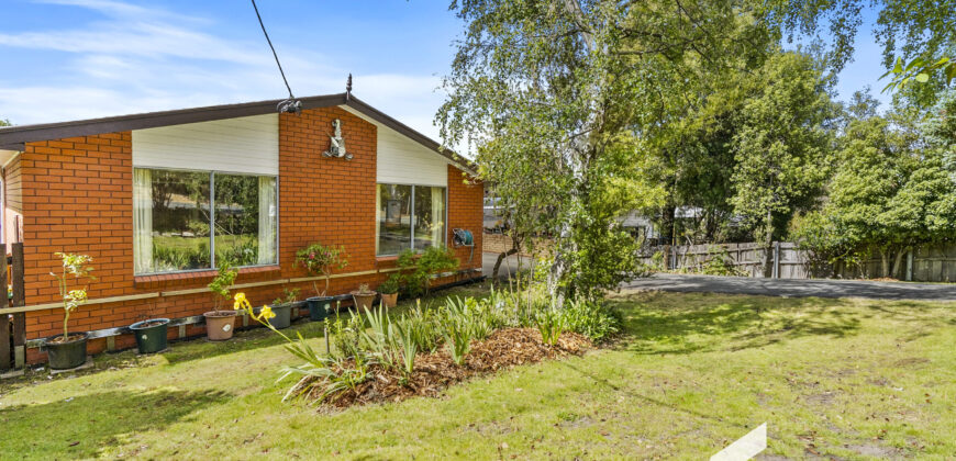 503 Huon Rd, South Hobart TAS 7004