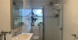 2a Watkins Avenue, West Hobart 7000