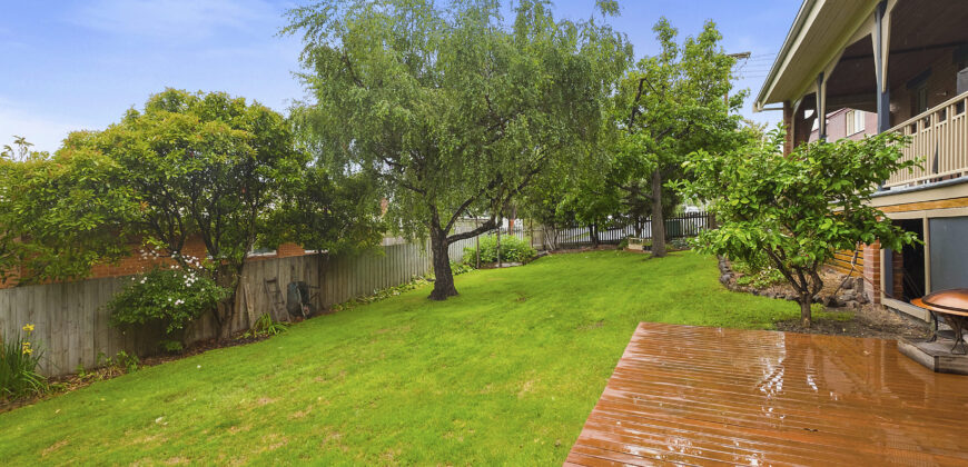 12 Braddon Avenue, SANDY BAY TAS 7005