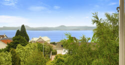 12 Braddon Avenue, SANDY BAY TAS 7005