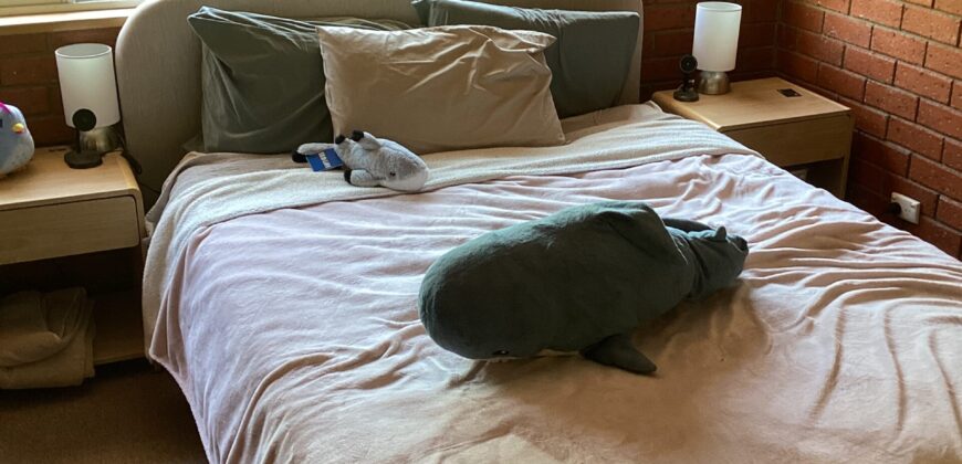 3/276 Churchill Avenue, Sandybay TAS 7005