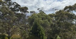 111/571 Nelson Rd, Mount Nelson TAS 7007 111/571 Nelson Rd, Mount Nelson TAS 7007