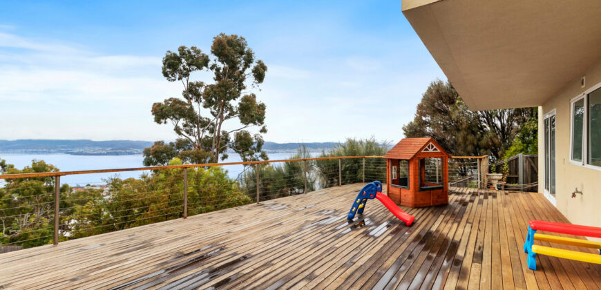 1/31 Nicholas Drive, SANDY BAY TAS 7005