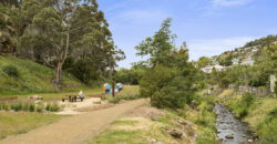 6/84 Upper Fitzroy Crescent, South Hobart Tas 7004