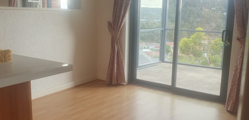 43 Washington Street, South Hobart TAS 7004