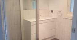 43 Washington Street, South Hobart TAS 7004