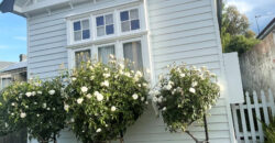 16 Apsley Street, South Hobart TAS 7004