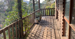 186A Strickland Ave, South Hobart TAS 7004