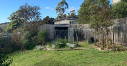 186A Strickland Ave, South Hobart TAS 7004
