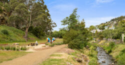 3/84 Upper Fitzroy Crescent, South Hobart TAS 7004