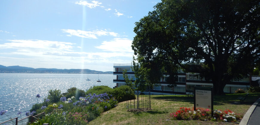 17/482 Sandy Bay Road, Sandy Bay TAS 7005