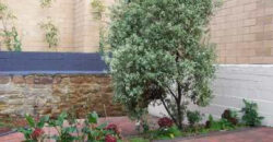 39 King Street, Sandy Bay TAS 7005