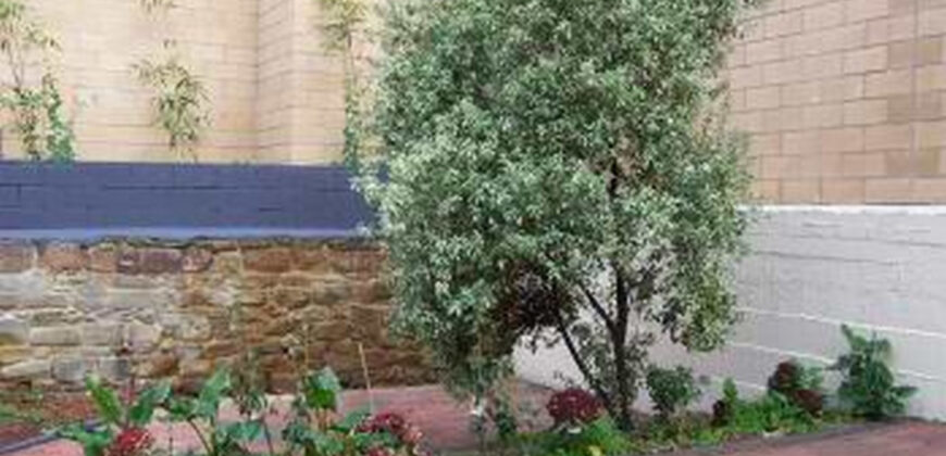 39 King Street, Sandy Bay TAS 7005