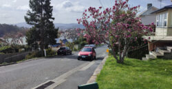 56 Wellesley Street, South Hobart TAS 7004 56 Wellesley Street, South Hobart TAS 7004