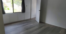56 Wellesley Street, South Hobart TAS 7004 56 Wellesley Street, South Hobart TAS 7004