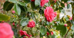 225 Bathurst St, West Hobart TAS 7000