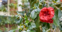 225 Bathurst St, West Hobart TAS 7000