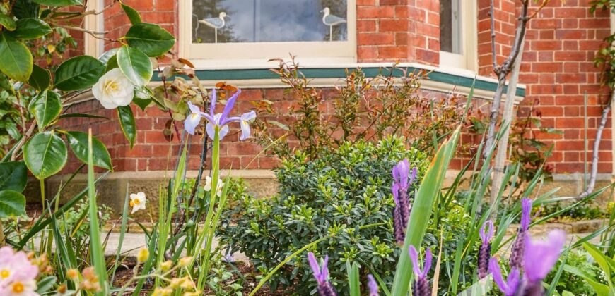 225 Bathurst St, West Hobart TAS 7000