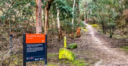 225 Bathurst St, West Hobart TAS 7000